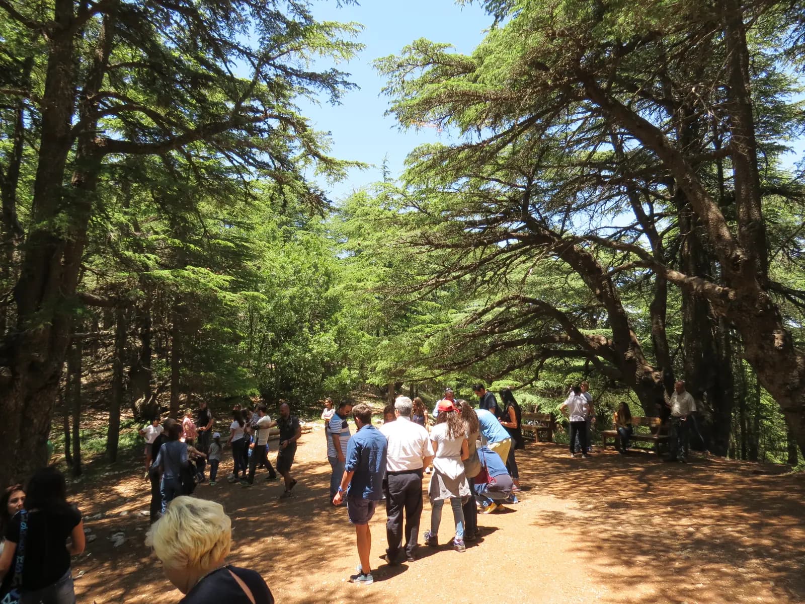 Shouf Biosphere Reserve in Lebanon