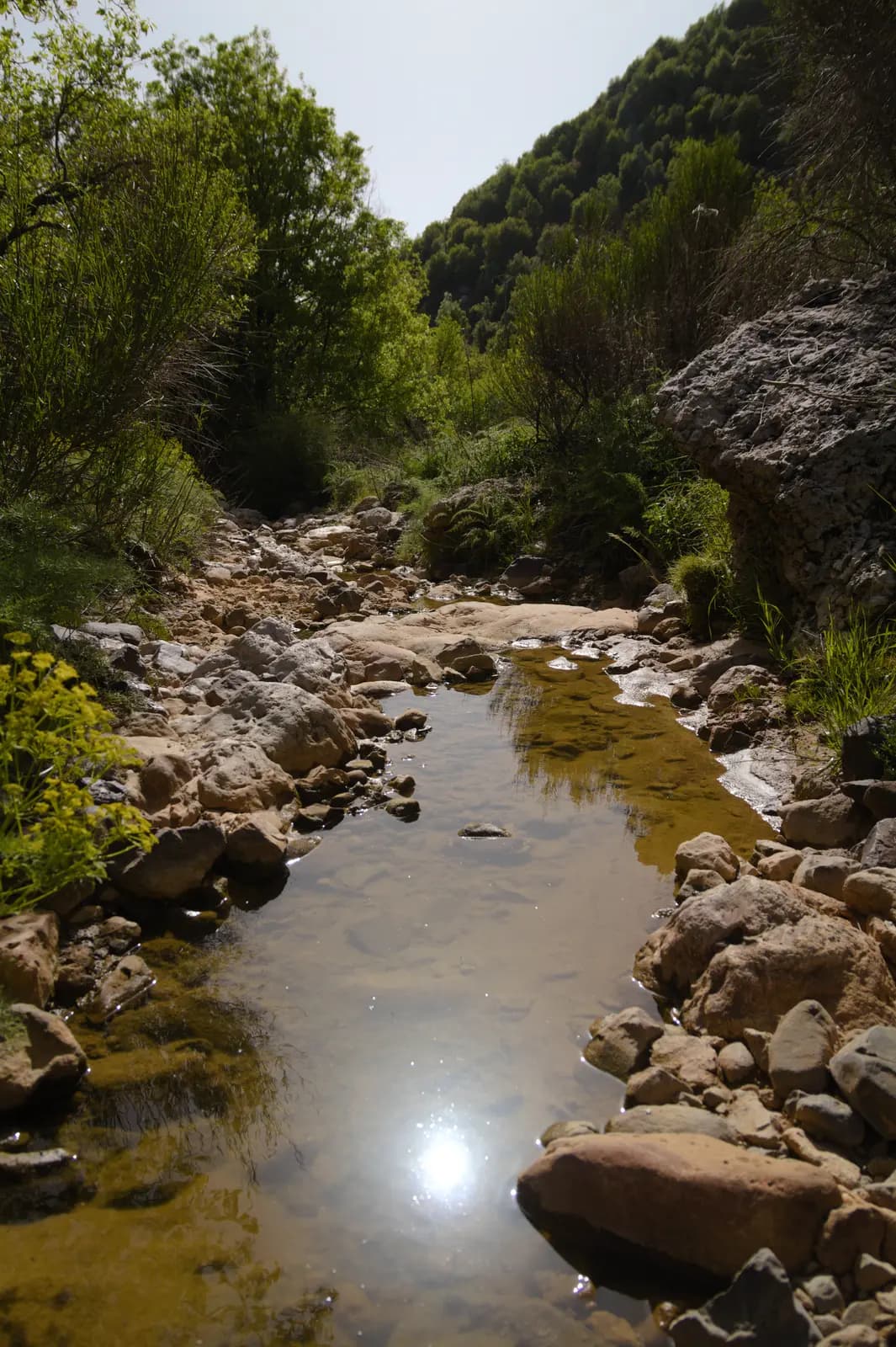 Chouwen in Lebanon