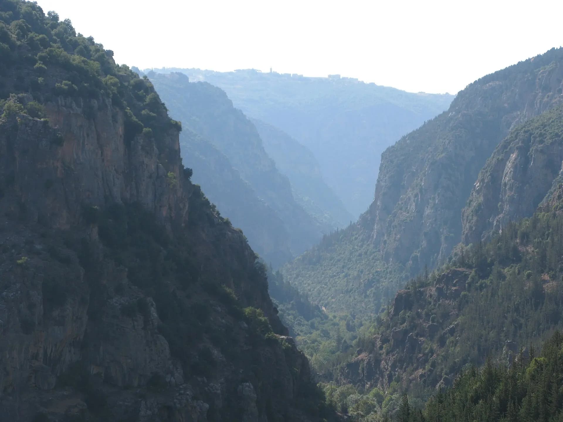 Steep wooded sides of the Qadisha Valley
