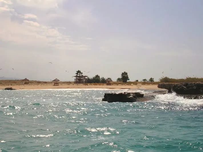 Rocky shore and clear water on Rabbit Island